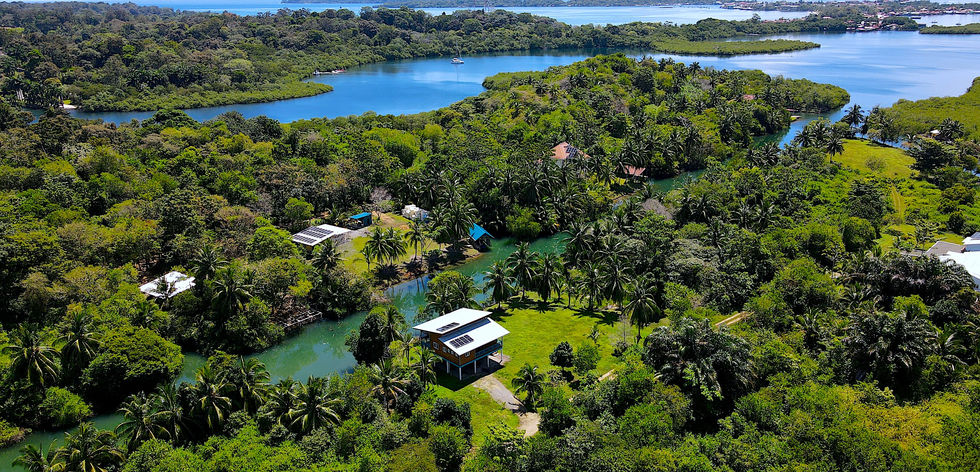 Bird view of the property