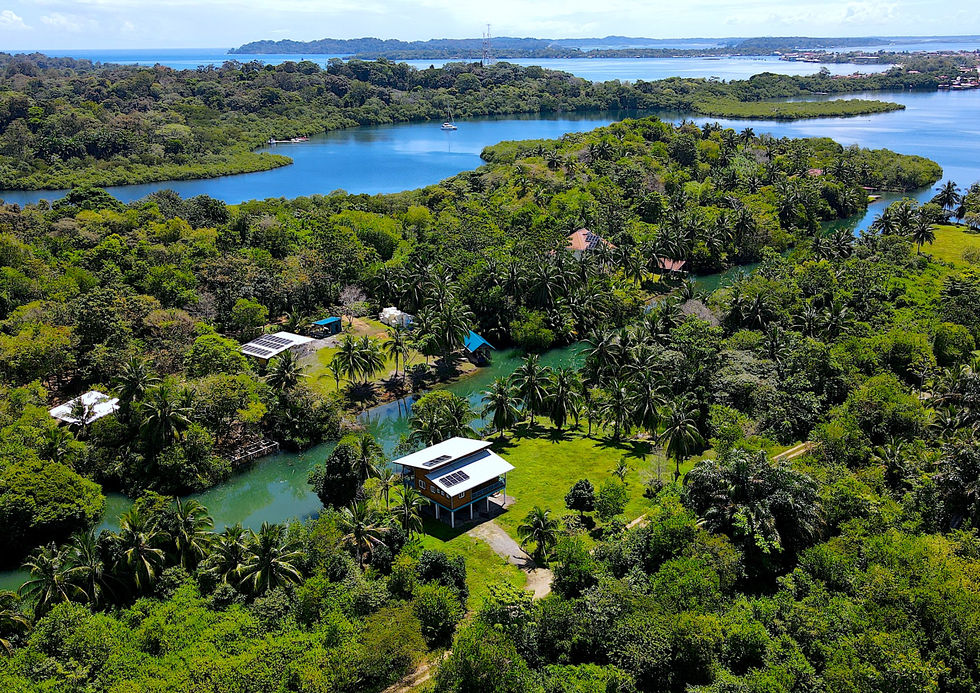 Bird view of the property