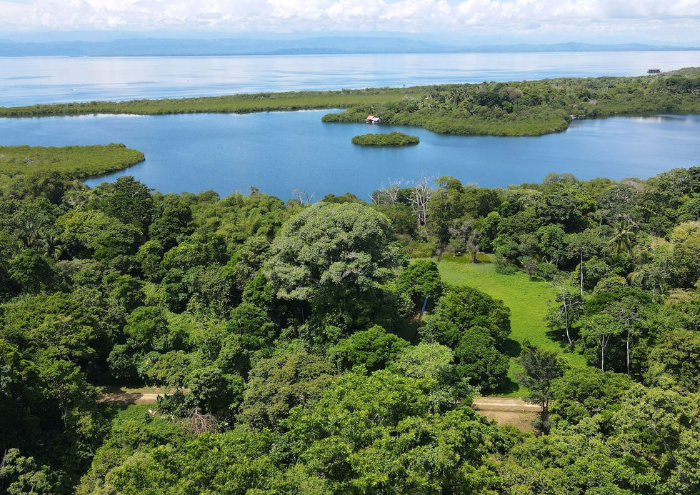 Bird's view of the land