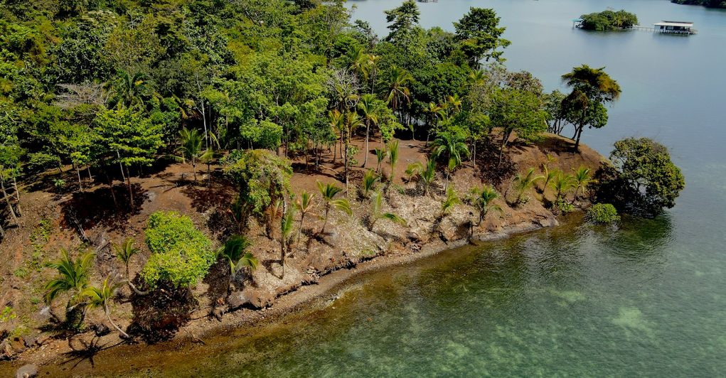 Bird view of the Peninsula land in Bocas del Toro