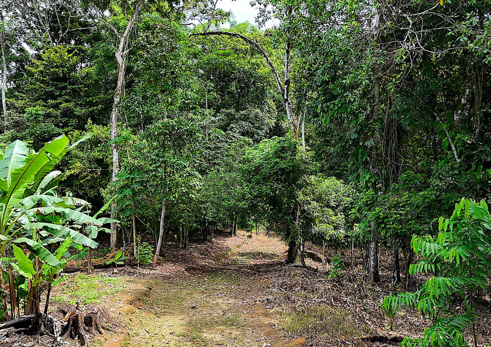 View of the land