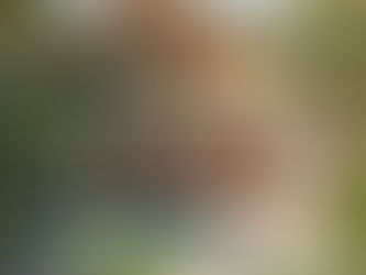 Can foreigners buy property in Bocas del Toro Panama?