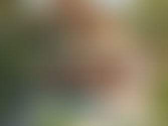 Can foreigners buy property in Bocas del Toro Panama?