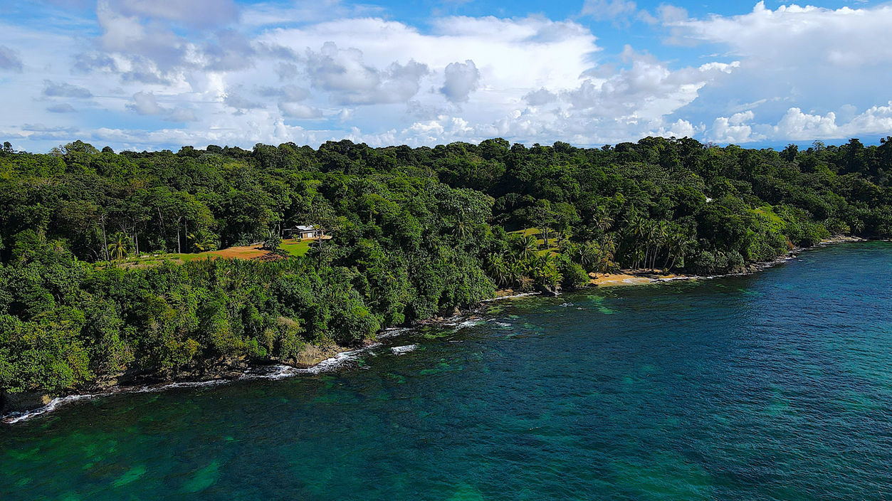 Bird view of a beach property in Bocas del Toro