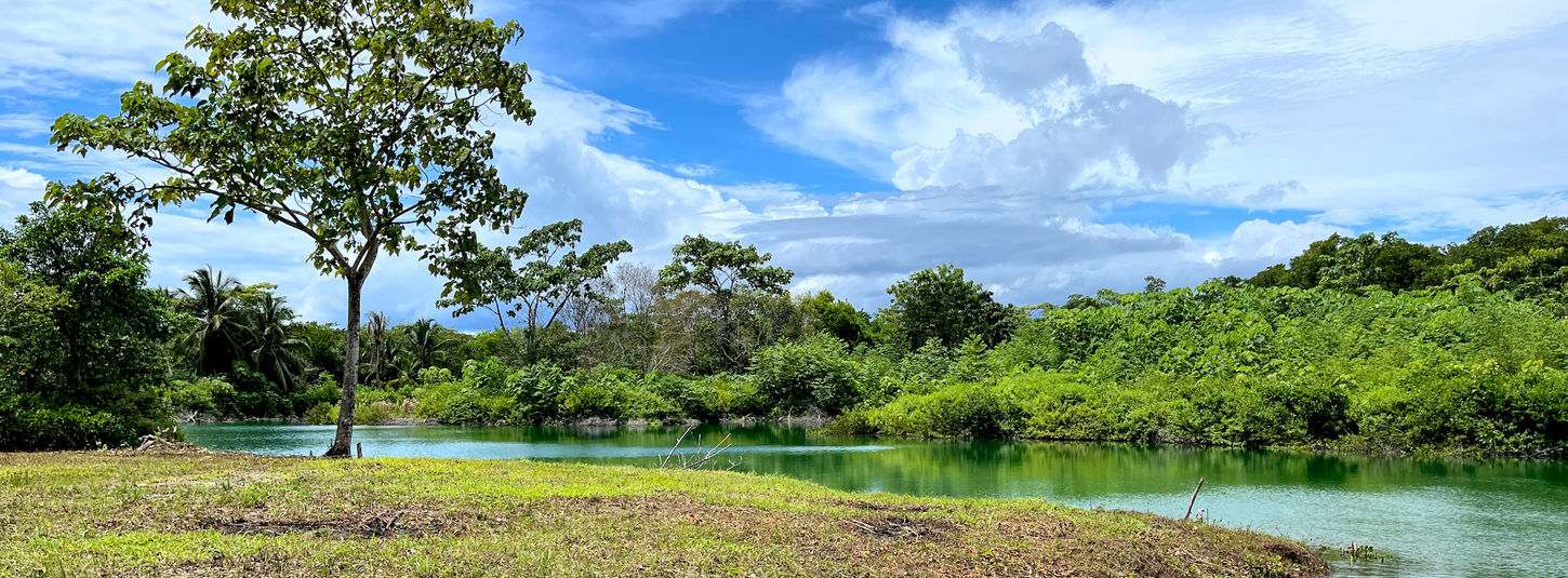 Titled Land with water and road access close to Bocas Town.