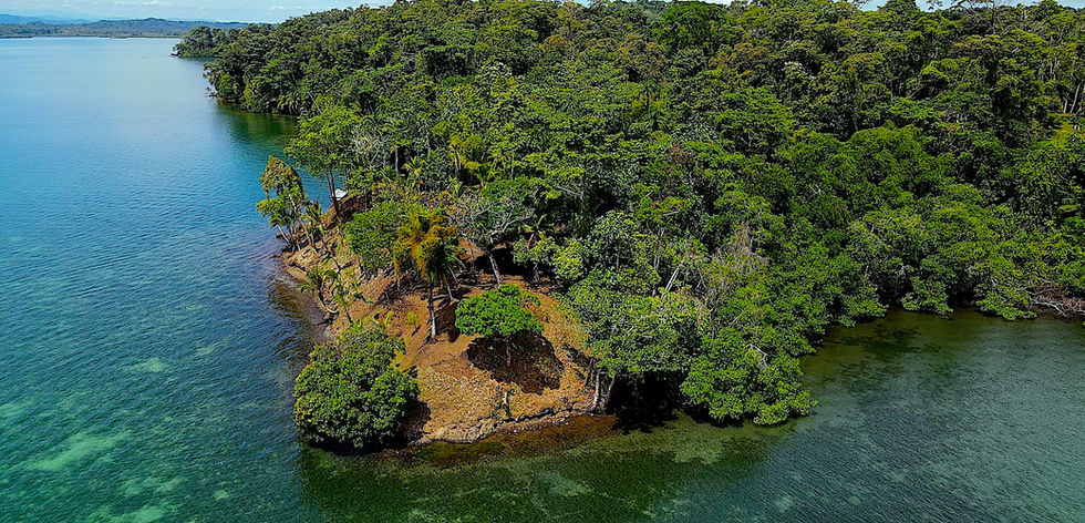 Bird view of the Peninsula land in Bocas del Toro