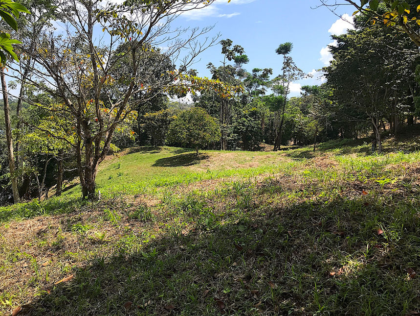 View of the flat land for constructions