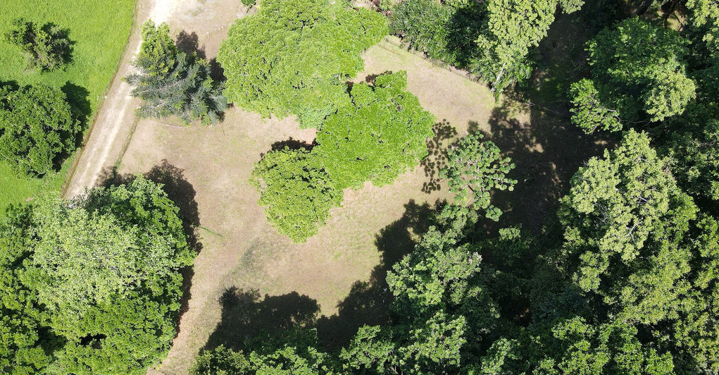 Bird's view of the land