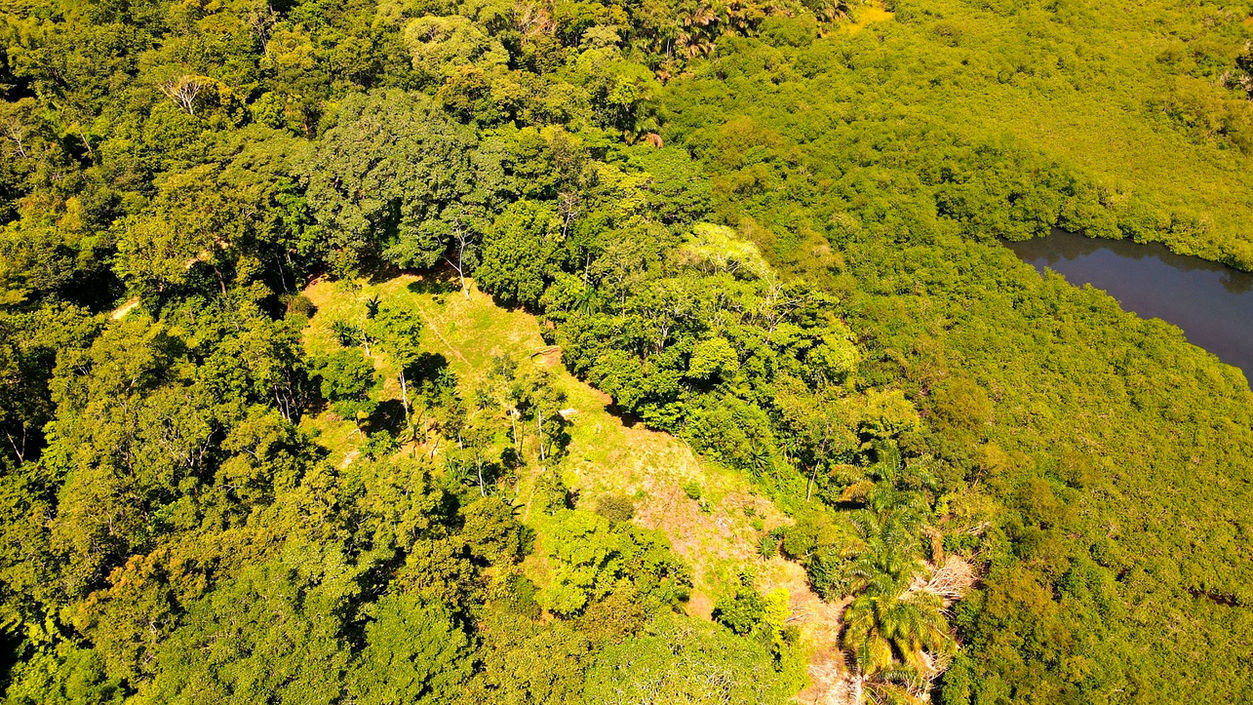 Aerial property view