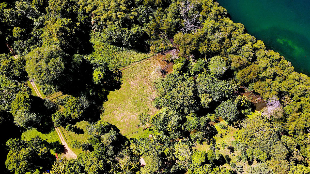 Bird view of the large flat Property