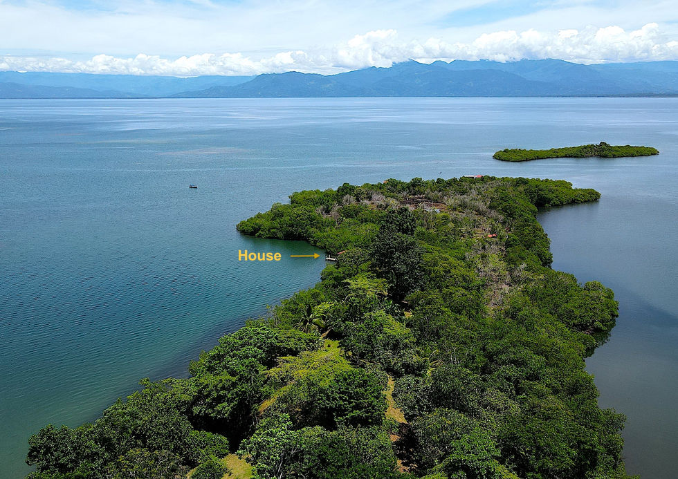 Property's Peninsula