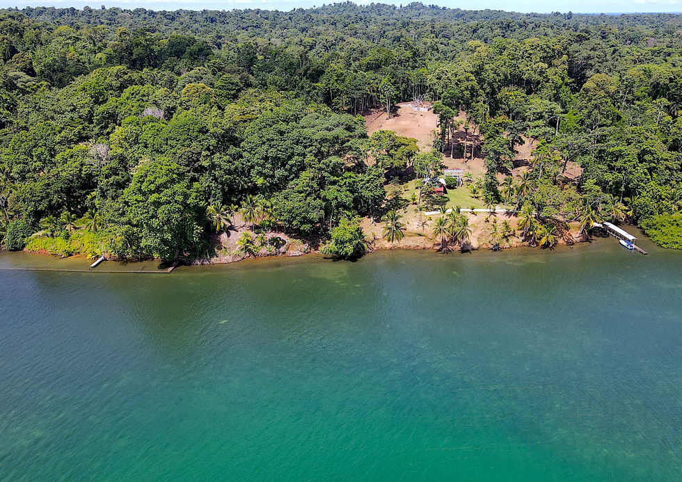Bird view of the property