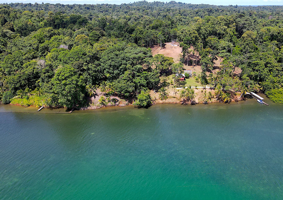Bird view of the property