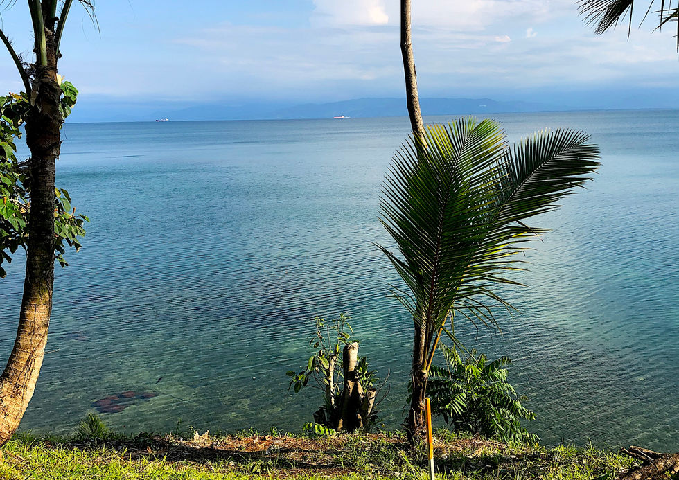 View of the ocean from the high land