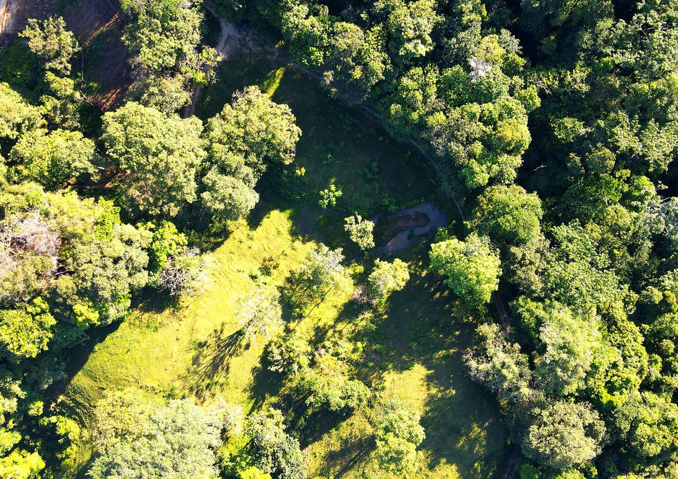 Aerial view of the property