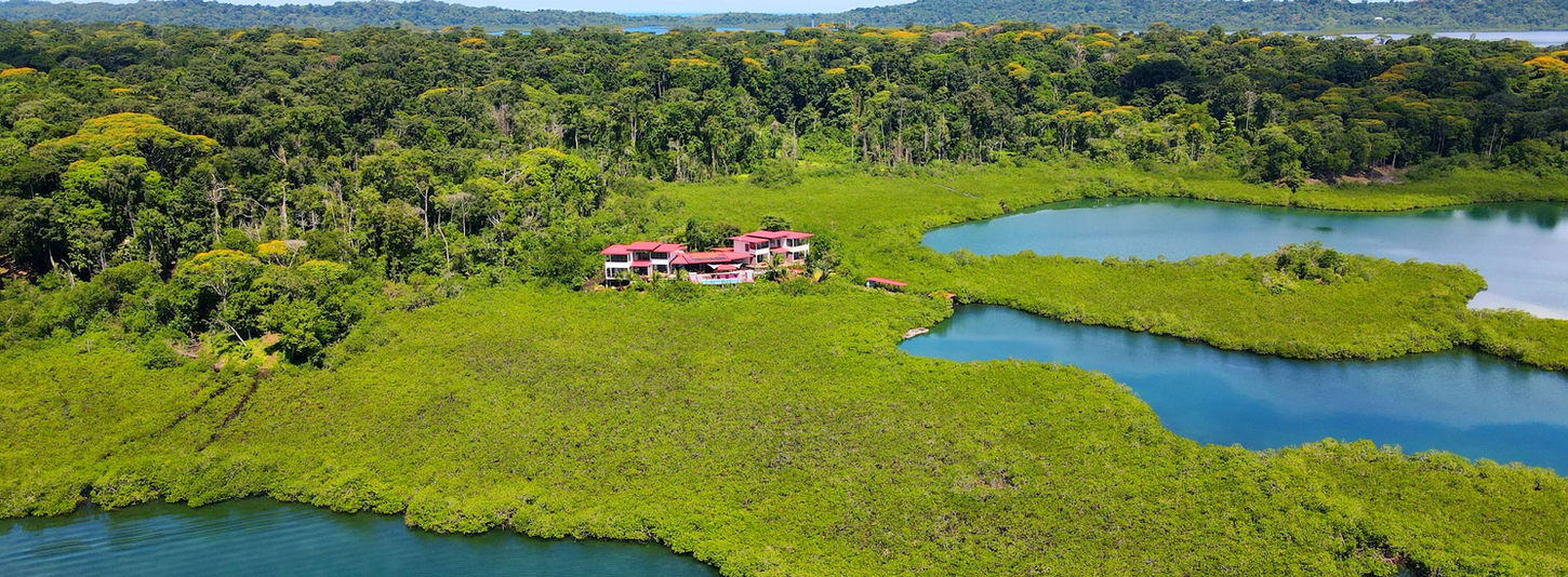 Bird View of the Property