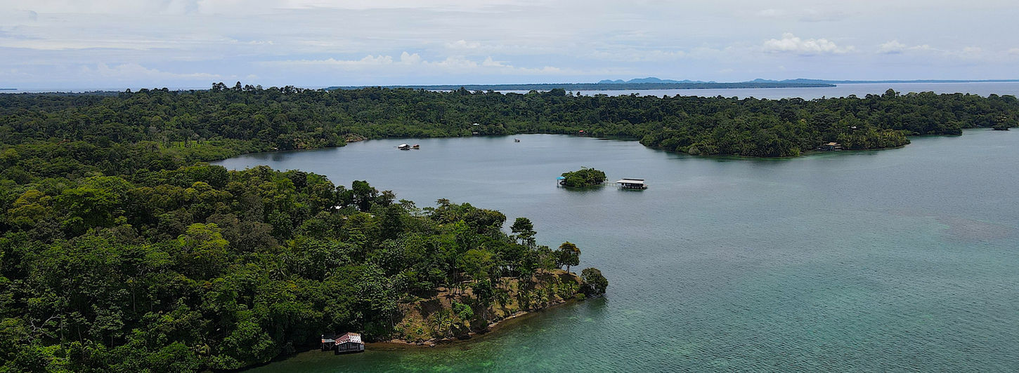 Bird view of the Peninsula land in Bocas del Toro
