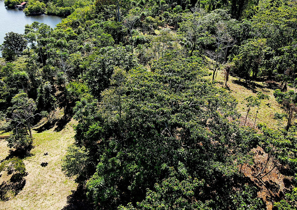 View of the flat land for constructions