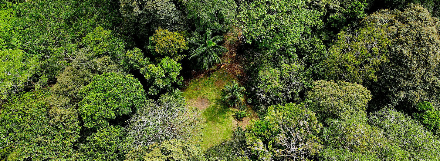 Bird view of the property