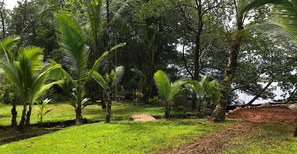 Landscaping