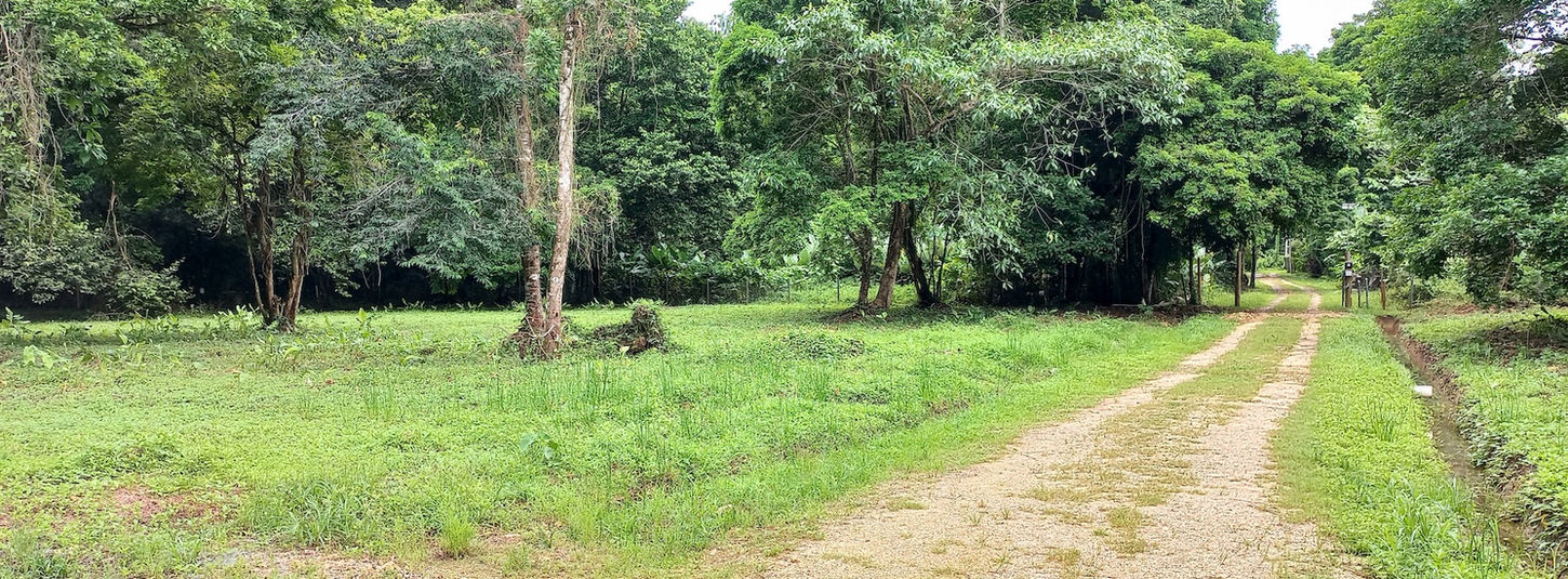 Flat land ready to build