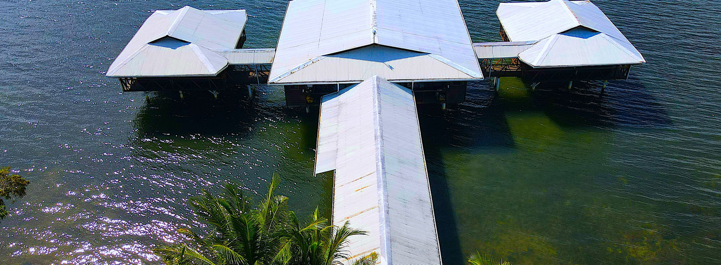 Bird view of the property