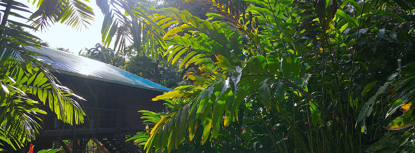 House view