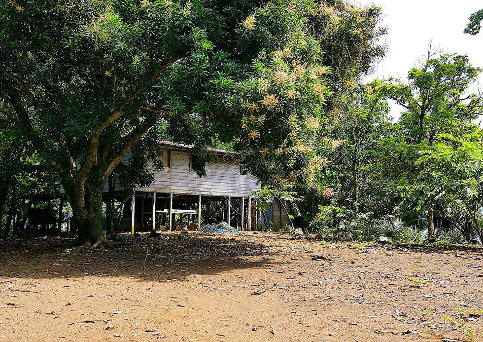 Lot and Main House