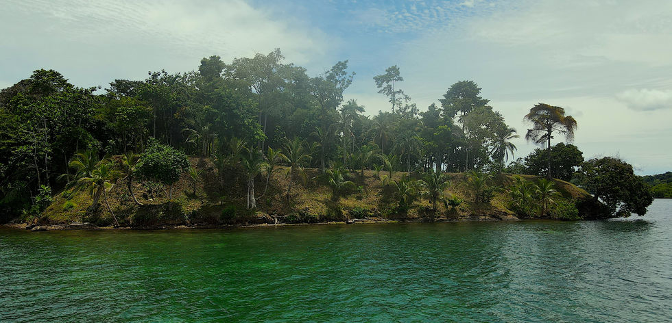 Bird view of the Peninsula land in Bocas del Toro