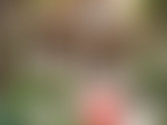 Buying and Selling Process in Bocas del Toro: How does it work?