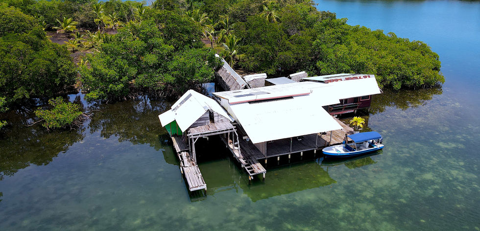 Bird view of the property