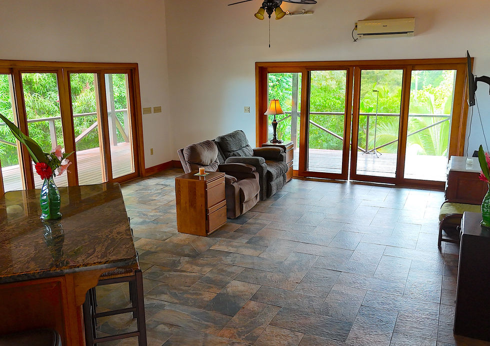 Open concept living room