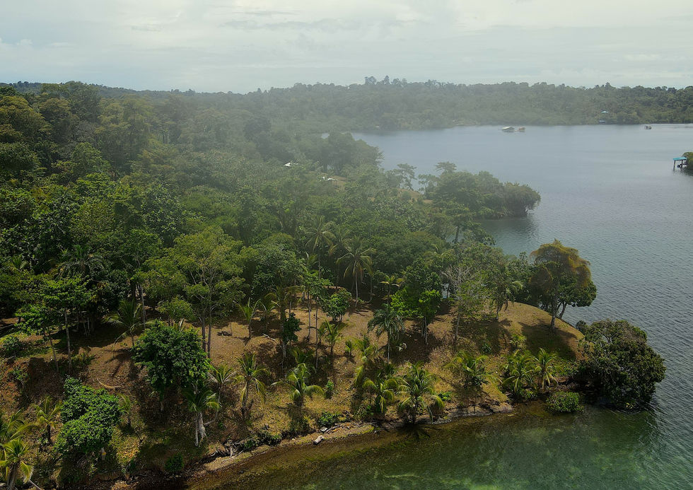 Bird view of the Peninsula land in Bocas del Toro