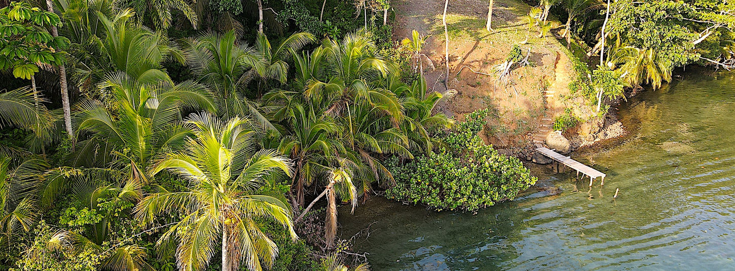 Bird view of the property