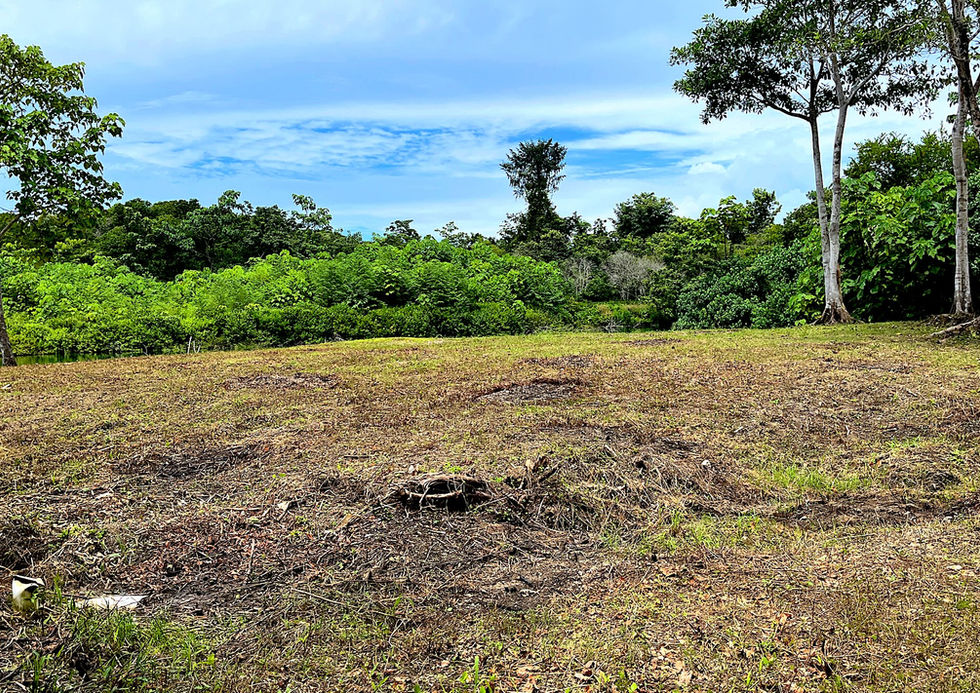 Titled Land with water and road access close to Bocas Town.