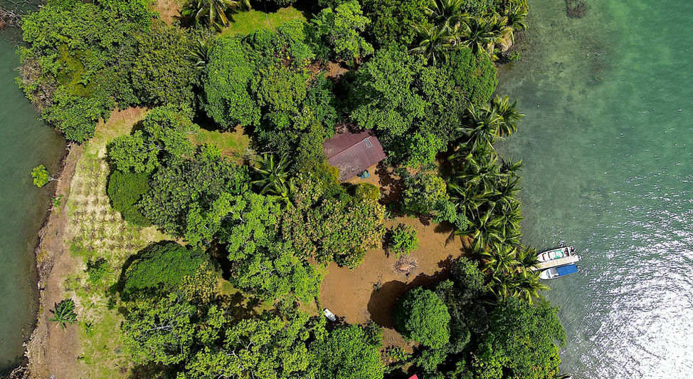 Bird view of the property