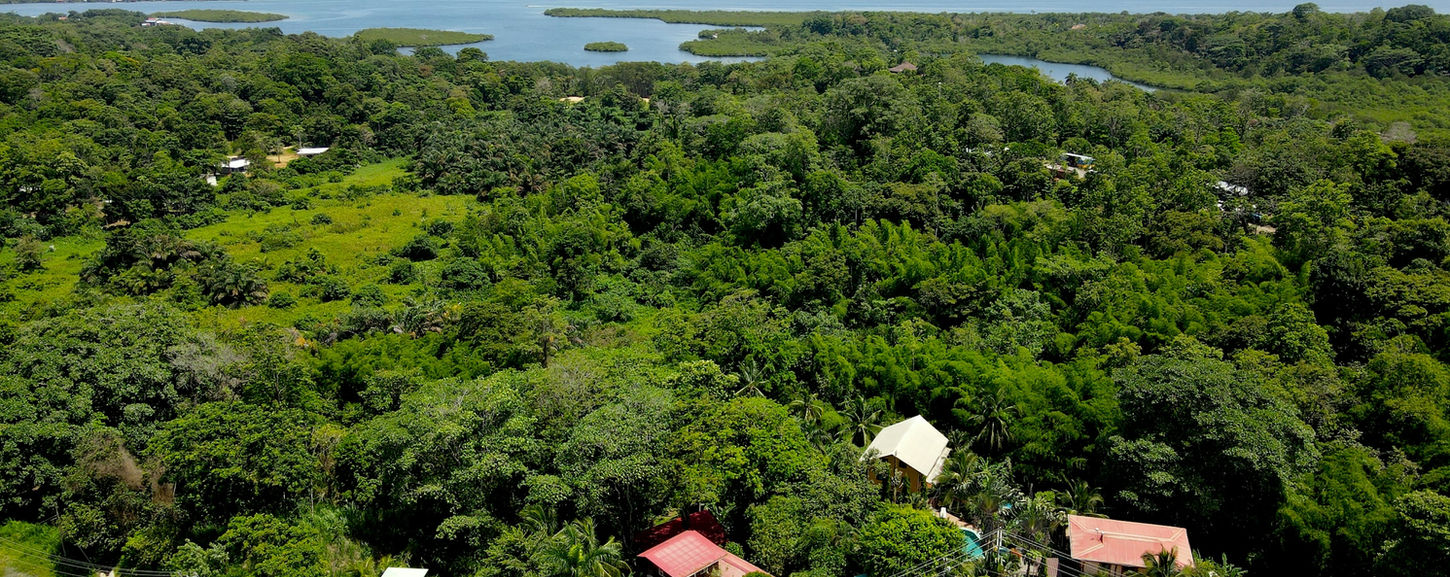 Vue à vol d'oiseau de la proximité de la ville de Bocas