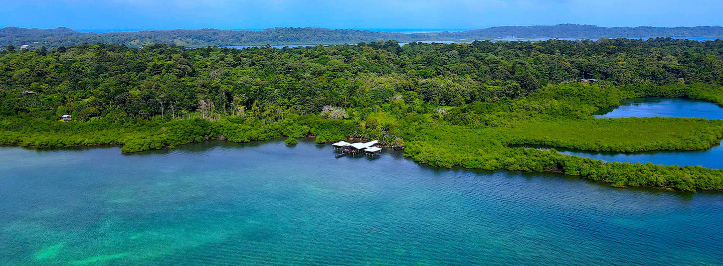 Bird view of the property