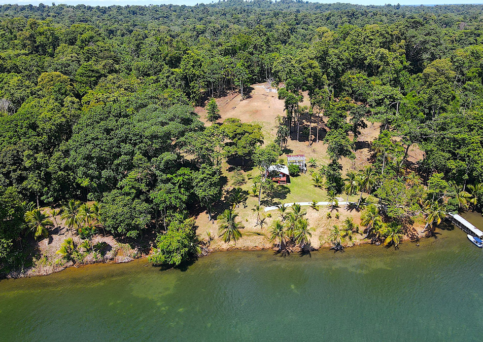 Bird view of the property