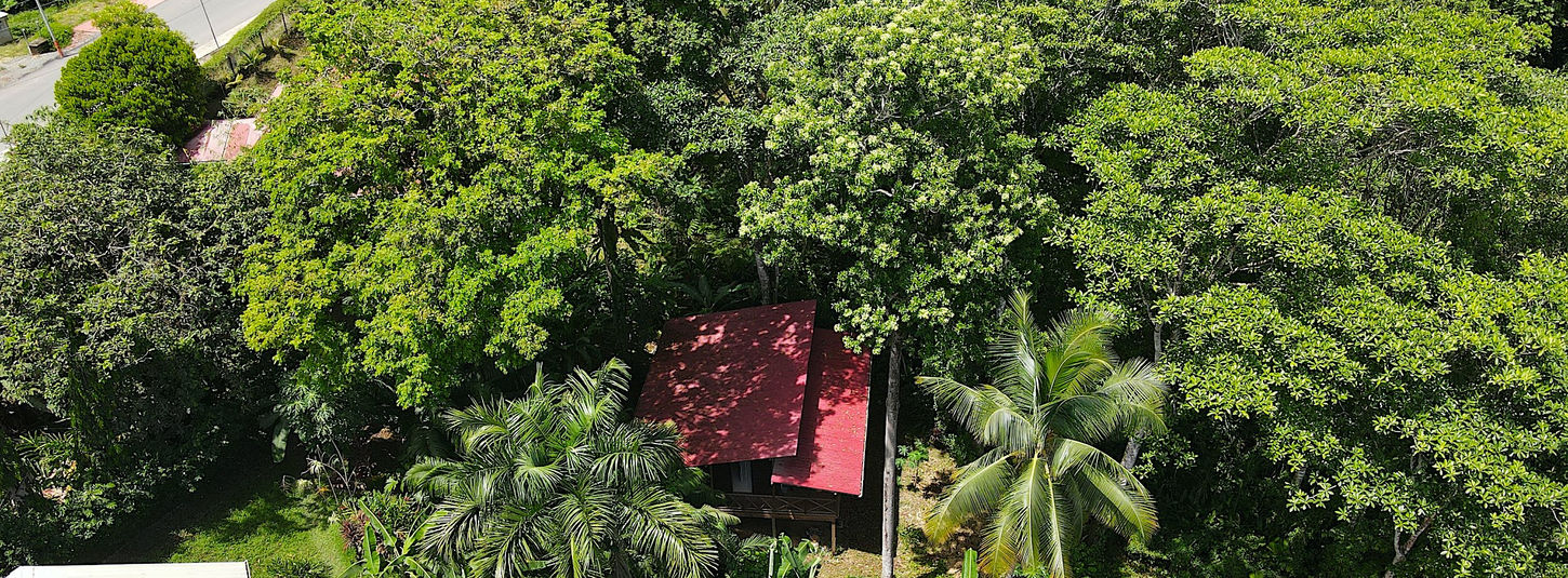 Bird view of the cabin