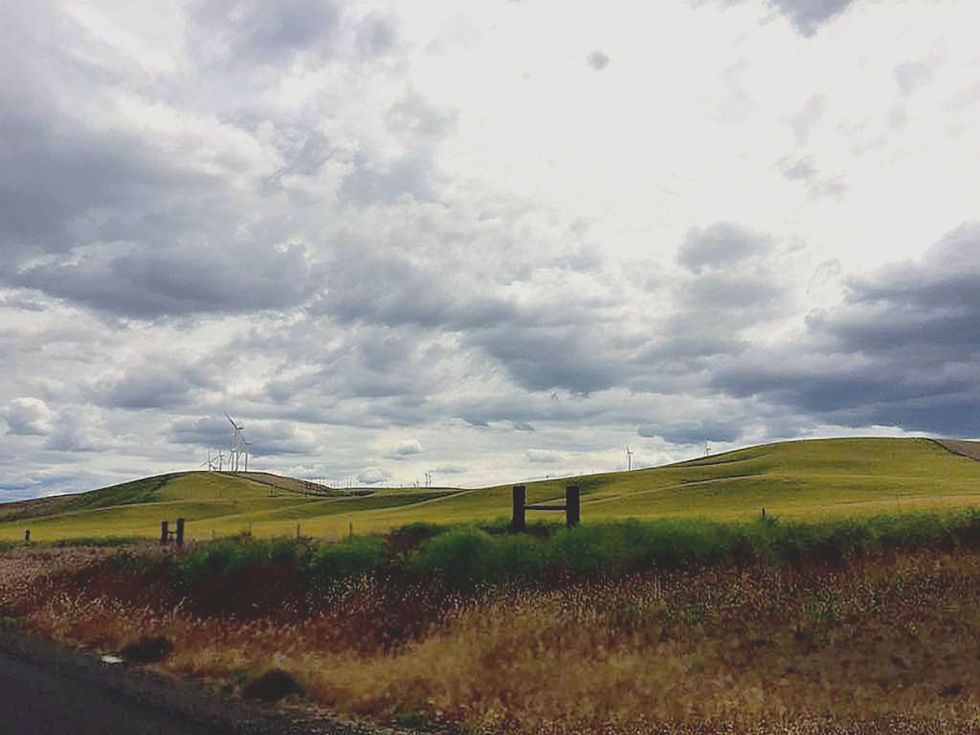 Eye-level view of a person practicing yoga in a serene outdoor setting