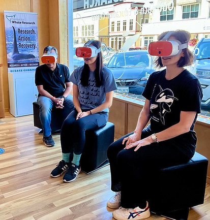 Virtual reality whale watching at the ORCA SURVEY Outreach & Education Center in Friday Harbor