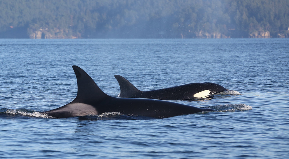 Copy of T060_T060F_20220127_MLM_GI1-27014.jpg