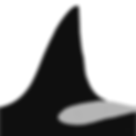 Dorsal Fin Shape_Bigg's.png