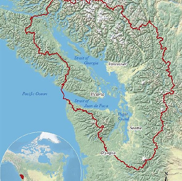 Salish Sea Ecosystem.jpg