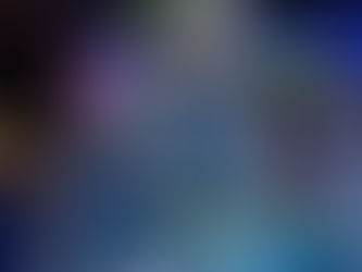 Day Twelve - Auckland