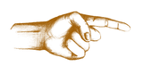 DOLLYS_ikoner_ORANGE_edited.png