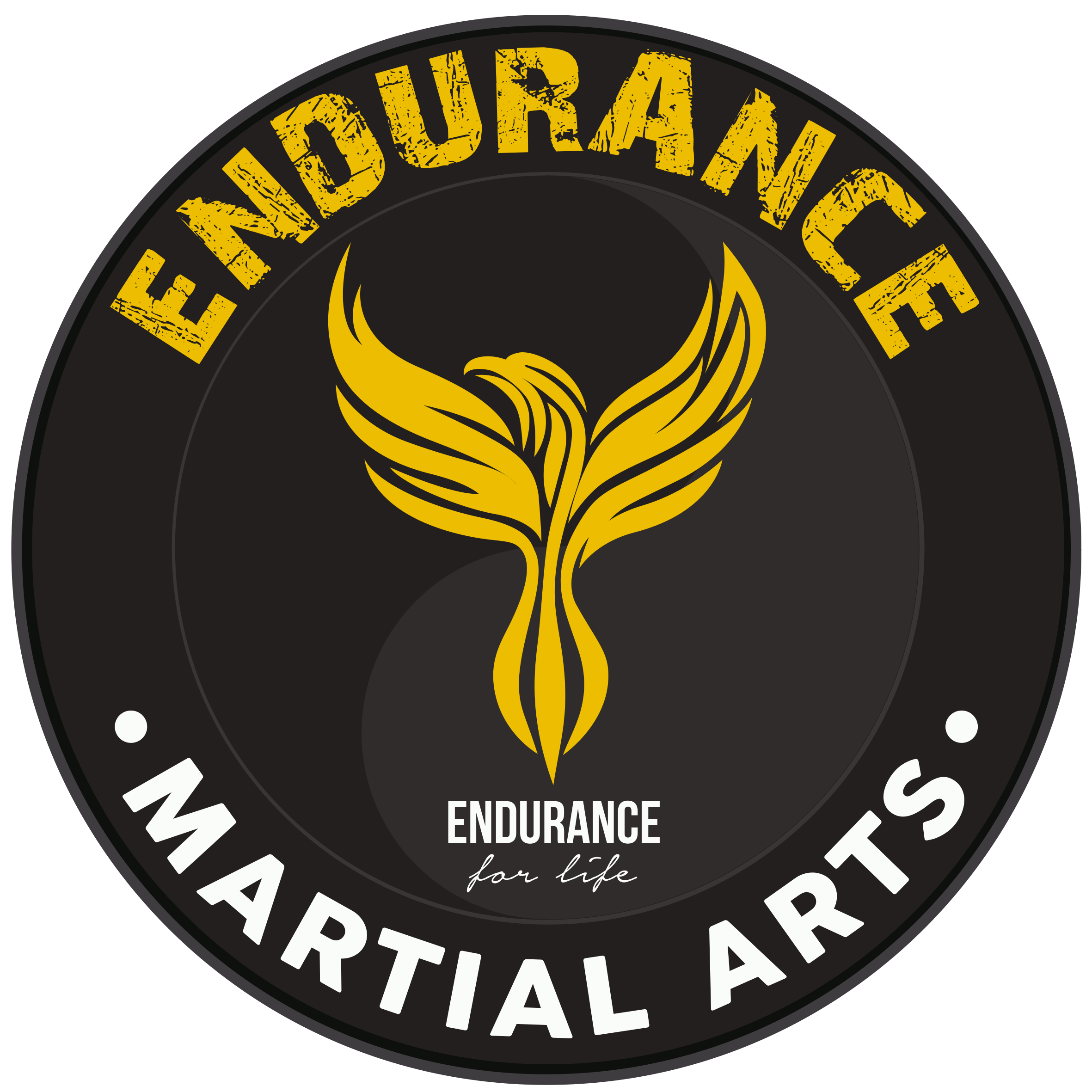 Endurance Logo 2023.gif