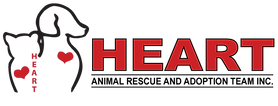 Heart Animal Rescue and Adoption Team