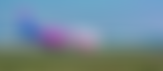 Wizz Air obavio let na liniji Niš – Bazel Miluz jubilarnim Airbusom A321neo